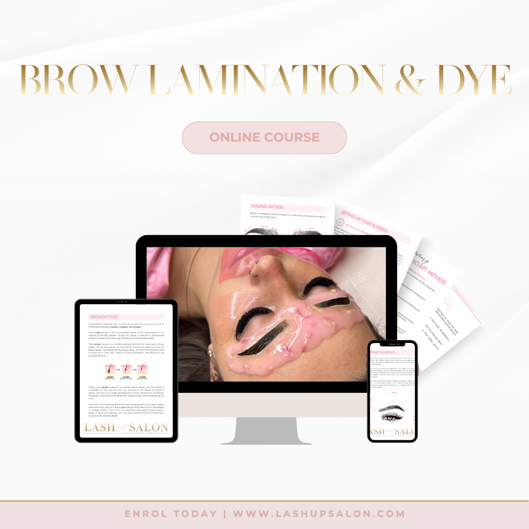 Brow Lamination & Dye Course